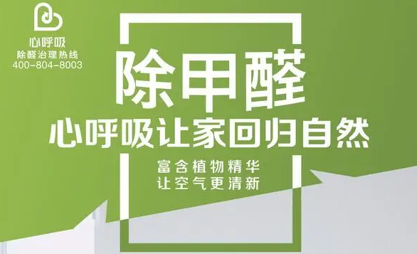 专业工装'甲醛治理 舍内甲醛处理，新房甲醛净化